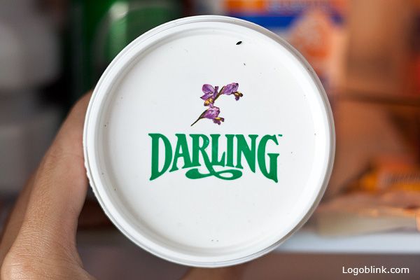 6 darling logo