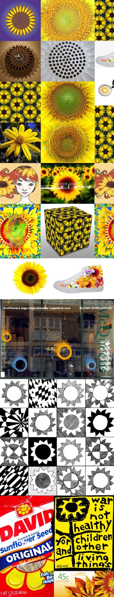 sunflower inspiration set